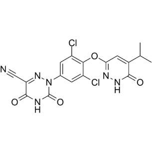product-305-305